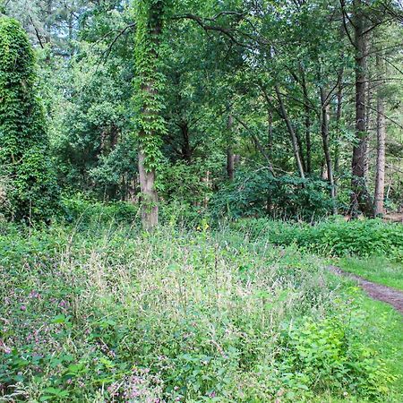 Huiske Oan T Bos Lage Mierde Екстер'єр фото