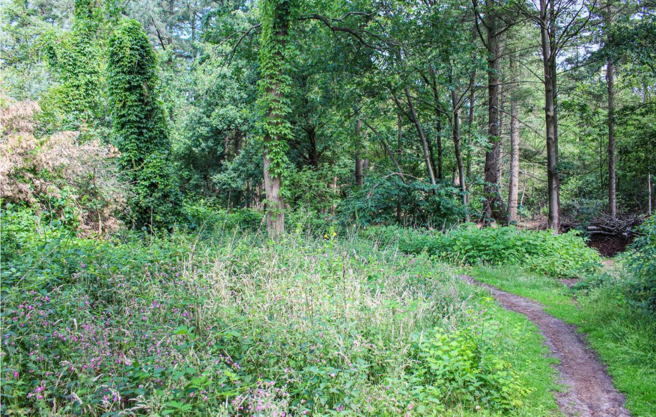 Huiske Oan T Bos Lage Mierde Екстер'єр фото